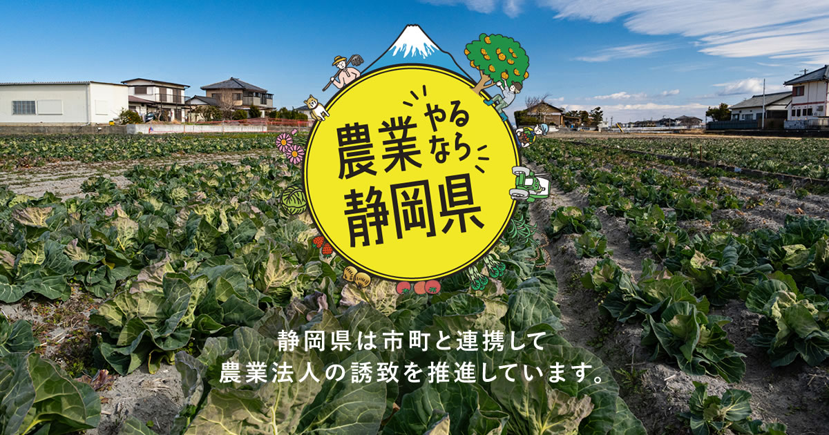 ȤʤŲweb