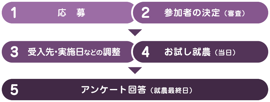 1 応募 2 参加者の決定（審査） 3 受入先・実施日などの調整 4 お試し就農（当日） 5 アンケート回答（就農最終日）