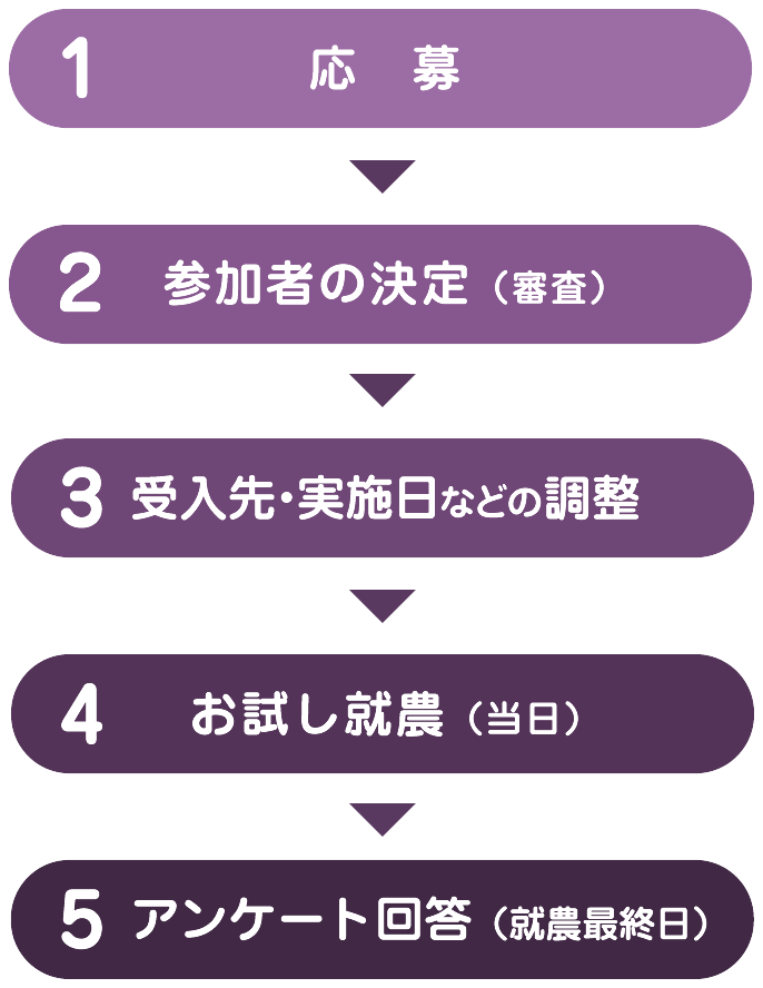 1 応募 2 参加者の決定（審査） 3 受入先・実施日などの調整 4 お試し就農（当日） 5 アンケート回答（就農最終日）