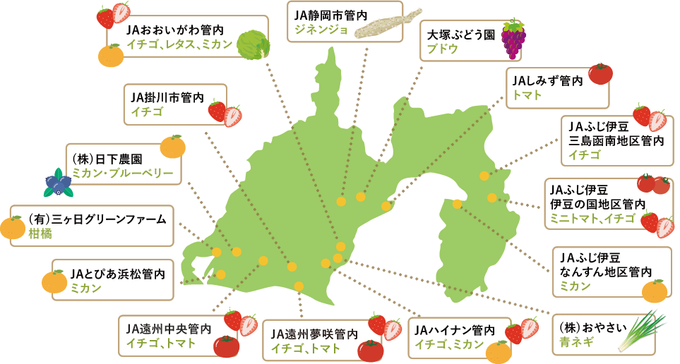 募集地域（市町）及び作目