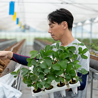 がんばる新農業人支援事業