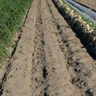 就農までの流れ