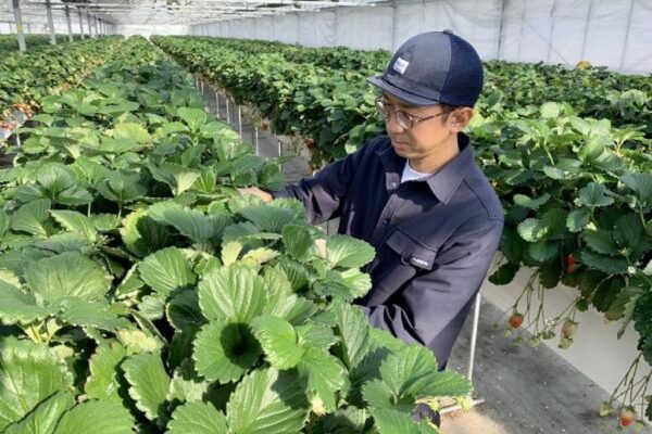 仲安 俊允さんインタビュー