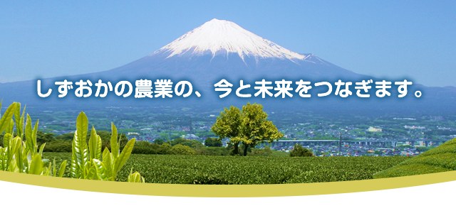 静岡の農業の、今と未来をつなぎます。